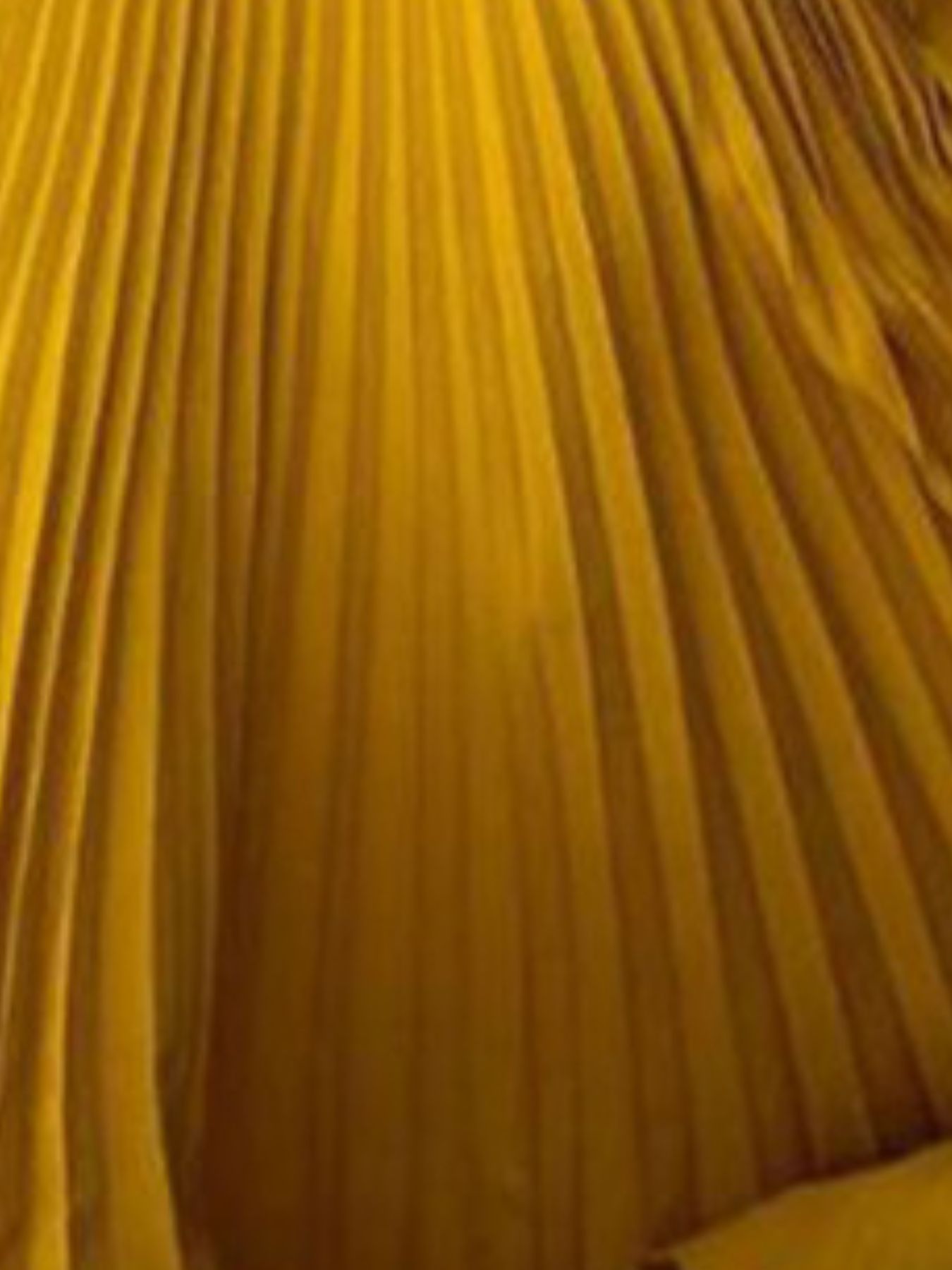 db83d057-3175-453e-9e6d-4b492caeb34c-Max